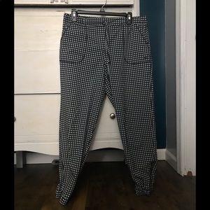 Albion fit Jetsetter jogger